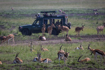 Отель Elewana Sand River Masai Mara Масаи-Мара Экстерьер фото